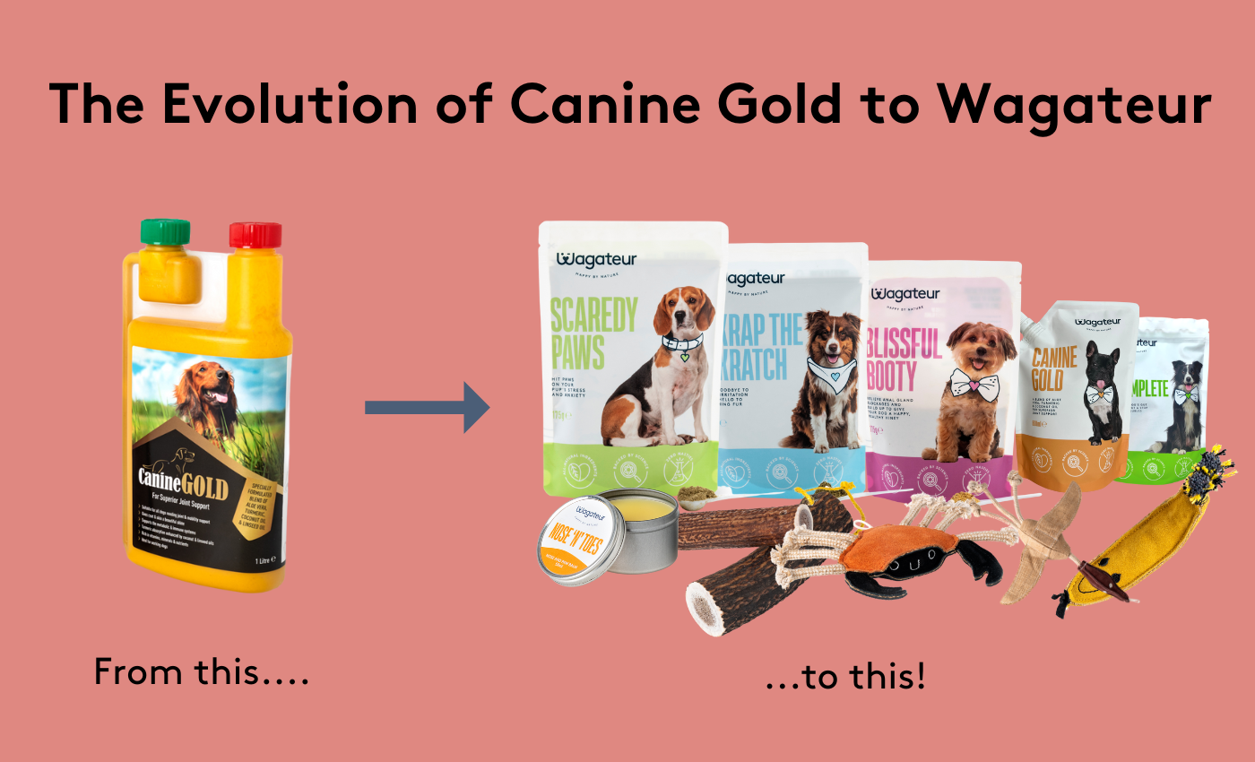 From Canine Gold to Wagateur Image