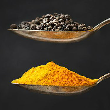 Turmeric and Pepper in Dog Nutrition : Busting the Myth Image