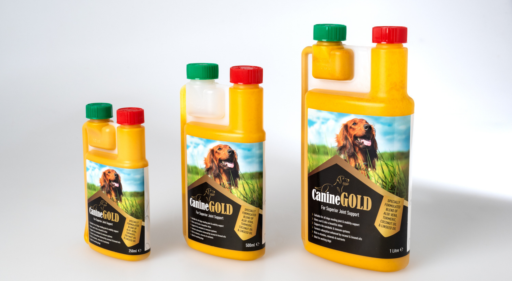 Introducing Canine GOLD To Your Dog's Diet Image