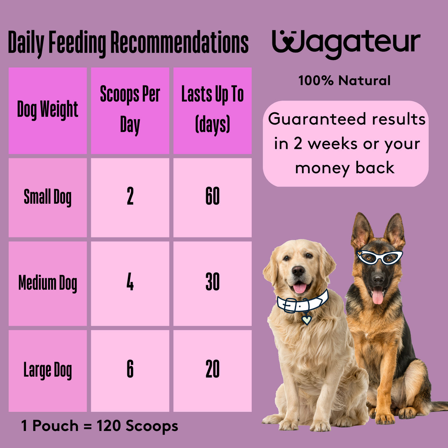 how to feed supplements to my dog