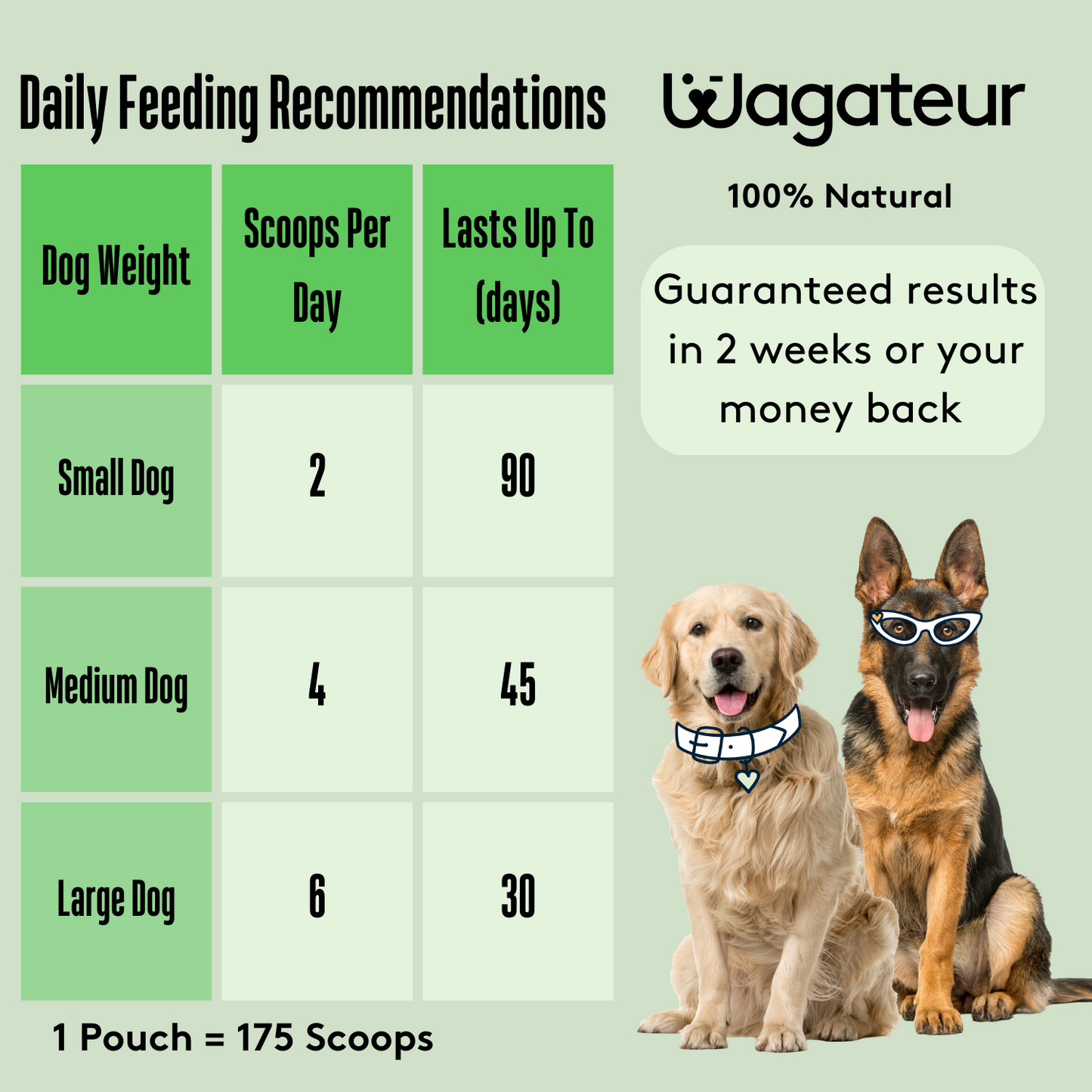 feeding guide for scaredy paws calming supplement