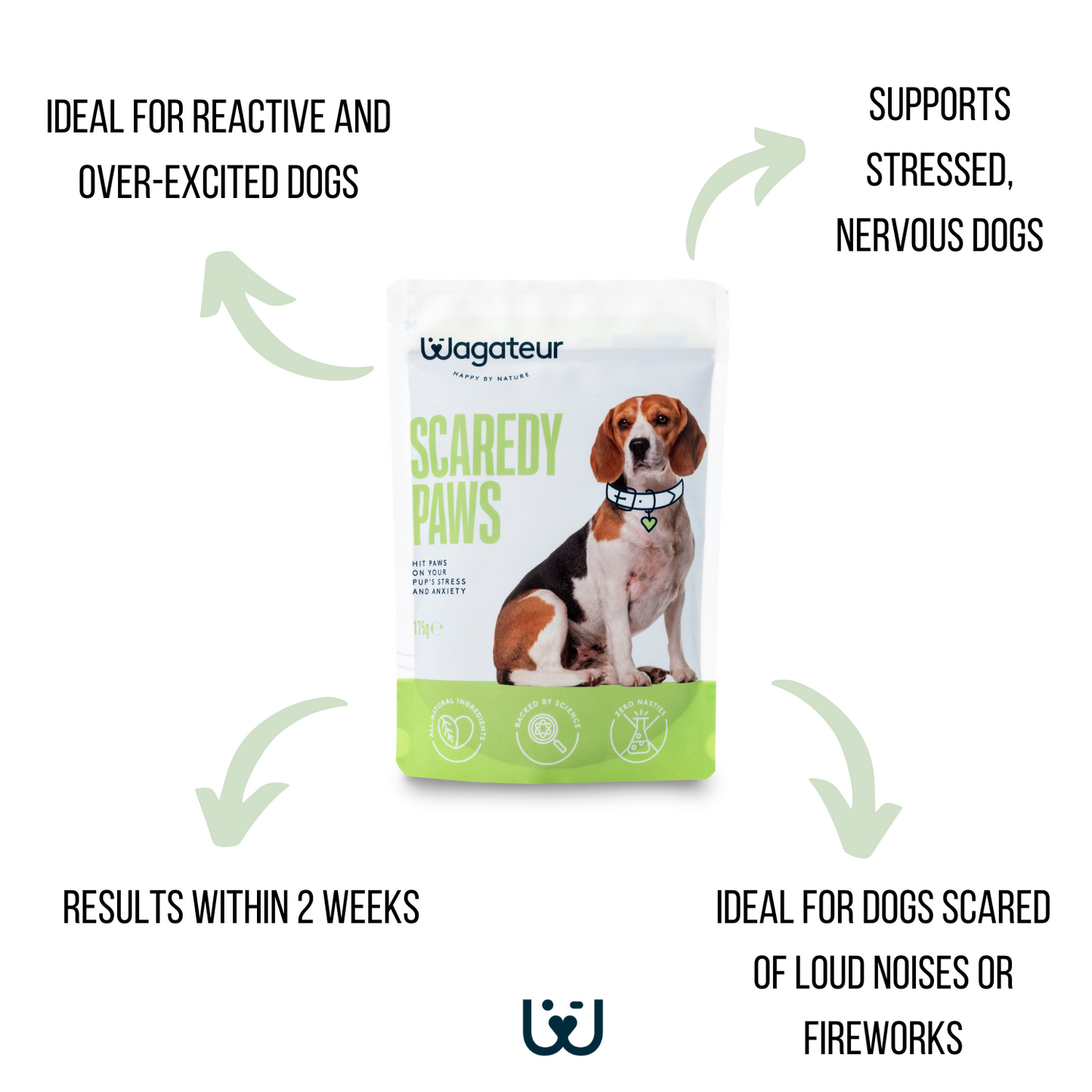 scaredy paws calming supplement for anxious dogs