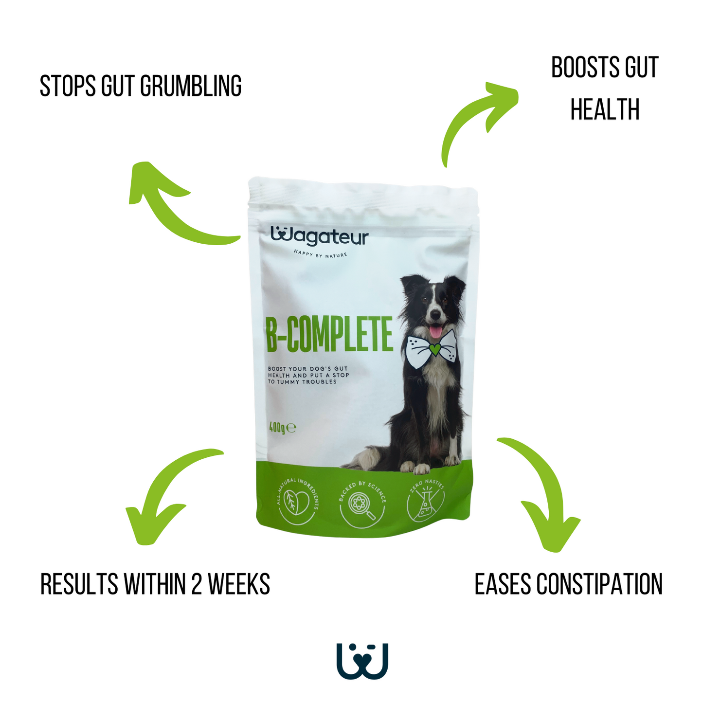 B-Complete Weight Management Supplement for Dogs