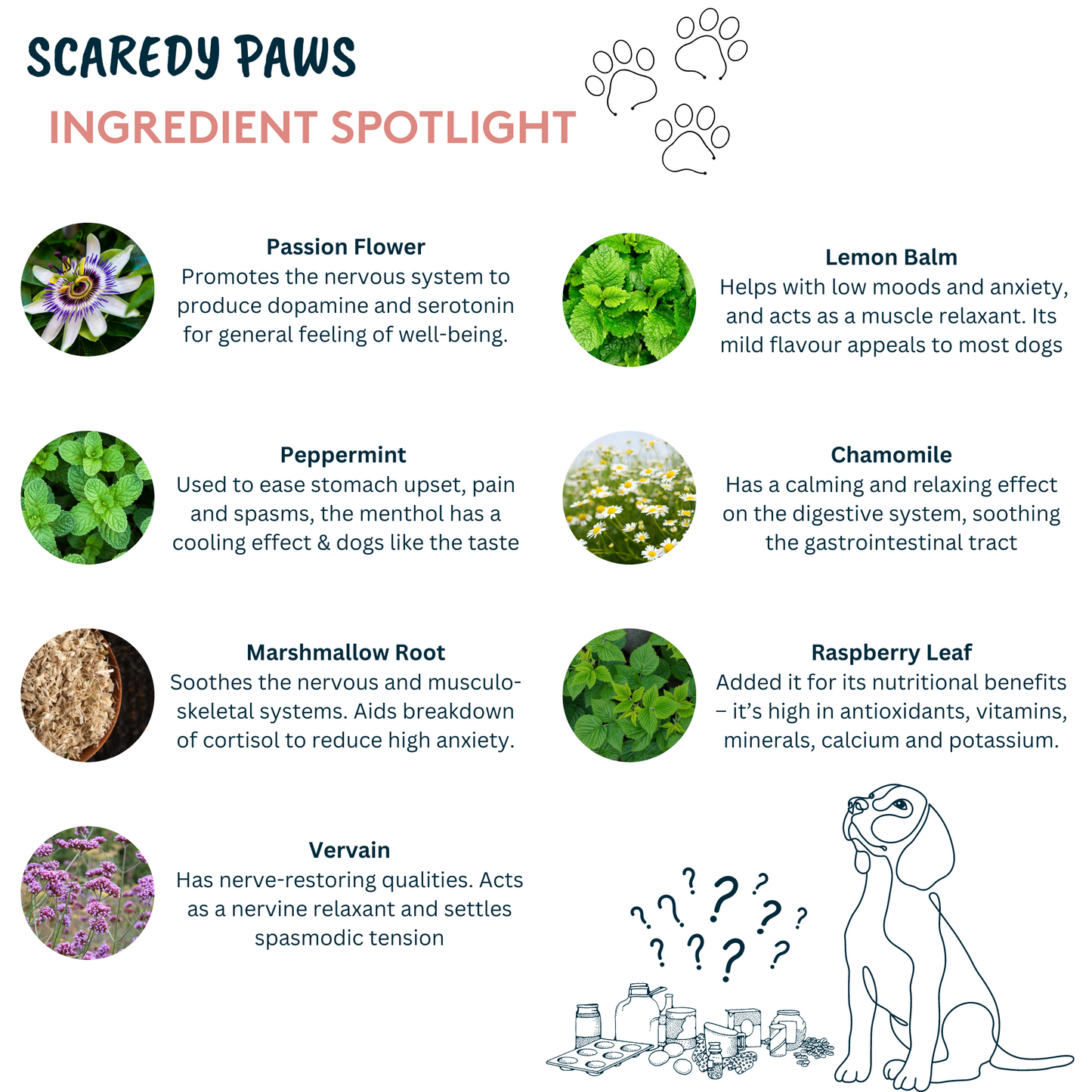 natural ingredients for calming dogs
